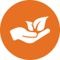 Hand with leaves icon orange